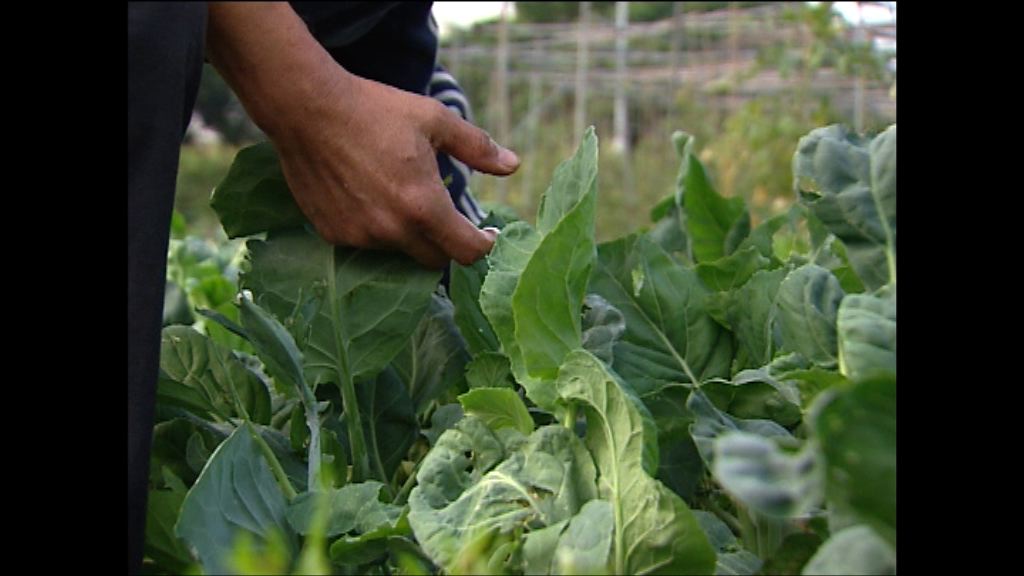 政府設立5億元農業持續發展基金