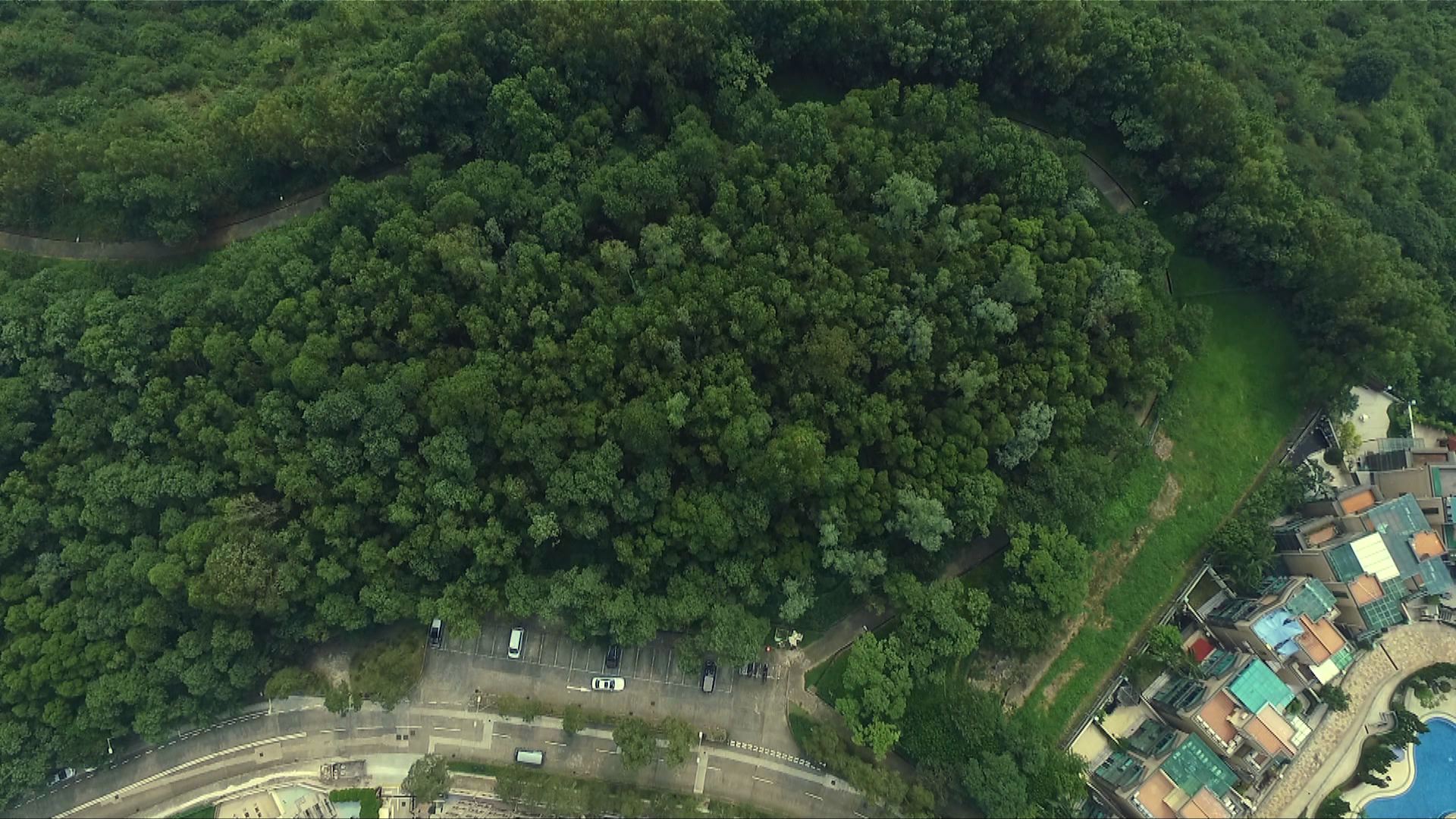 【施政報告前瞻】交代改劃用地進度