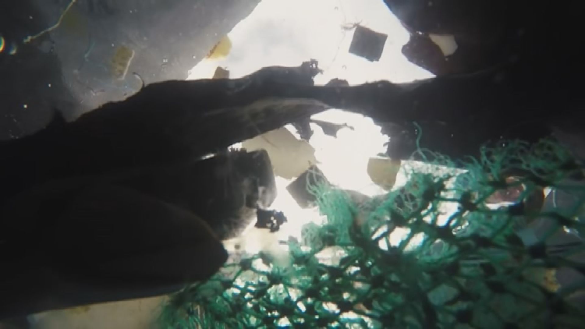 太平洋垃圾帶有近八萬噸垃圾漂浮