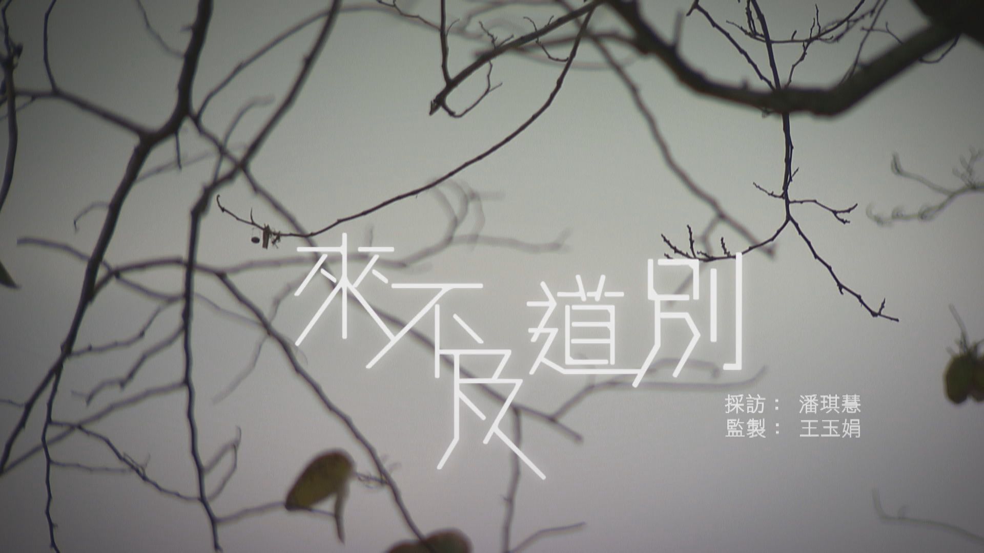 【經緯線】來不及道別（一）