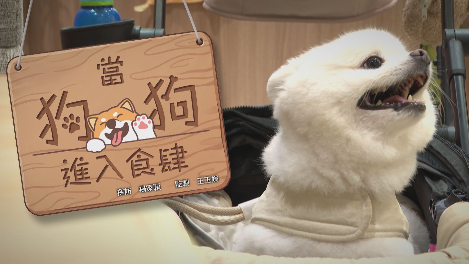 經緯線｜當狗狗進入食肆