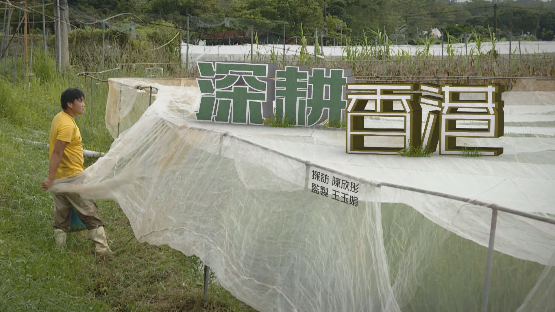 【經緯線】深耕香港（一）