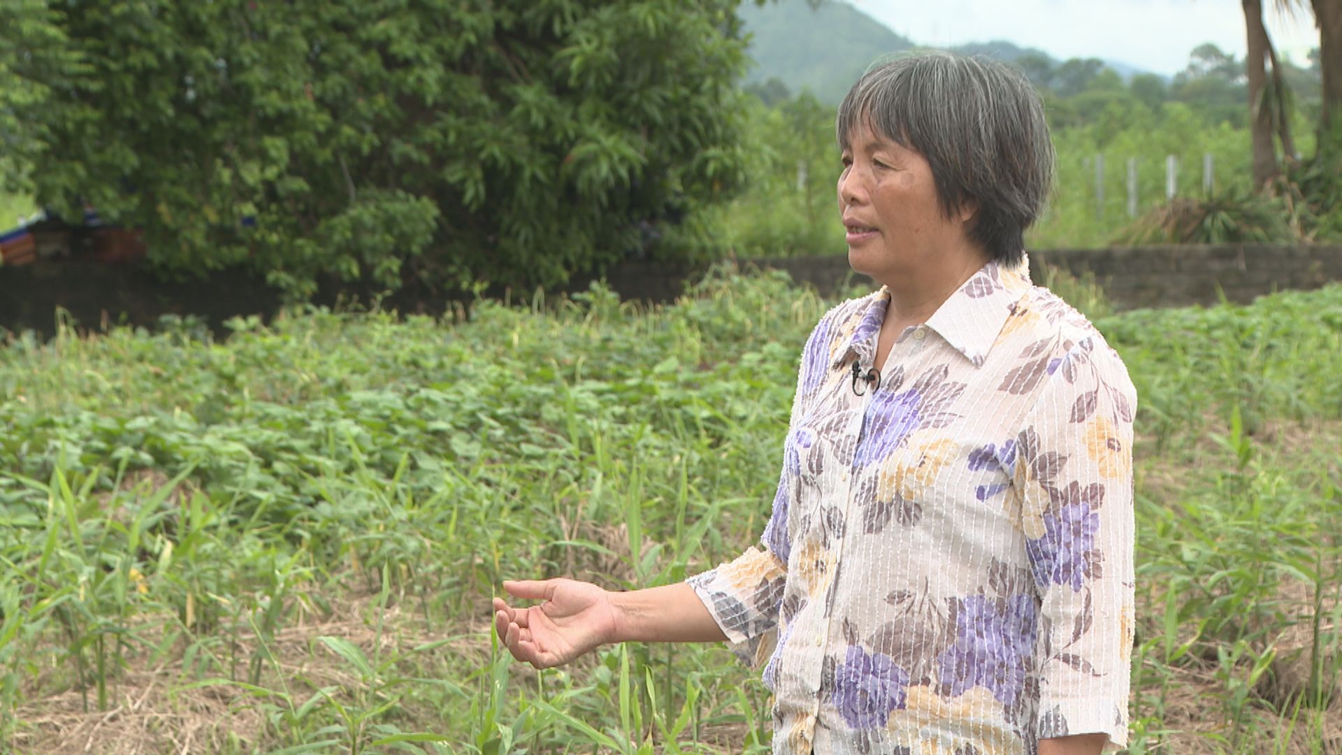 【經緯線本周提要】世紀暴雨毀家園生計 村民漁農戶指支援不足