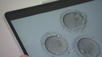 經緯線本周提要｜政府建議修例撤銷雪卵期限　倘通過十二月初生效