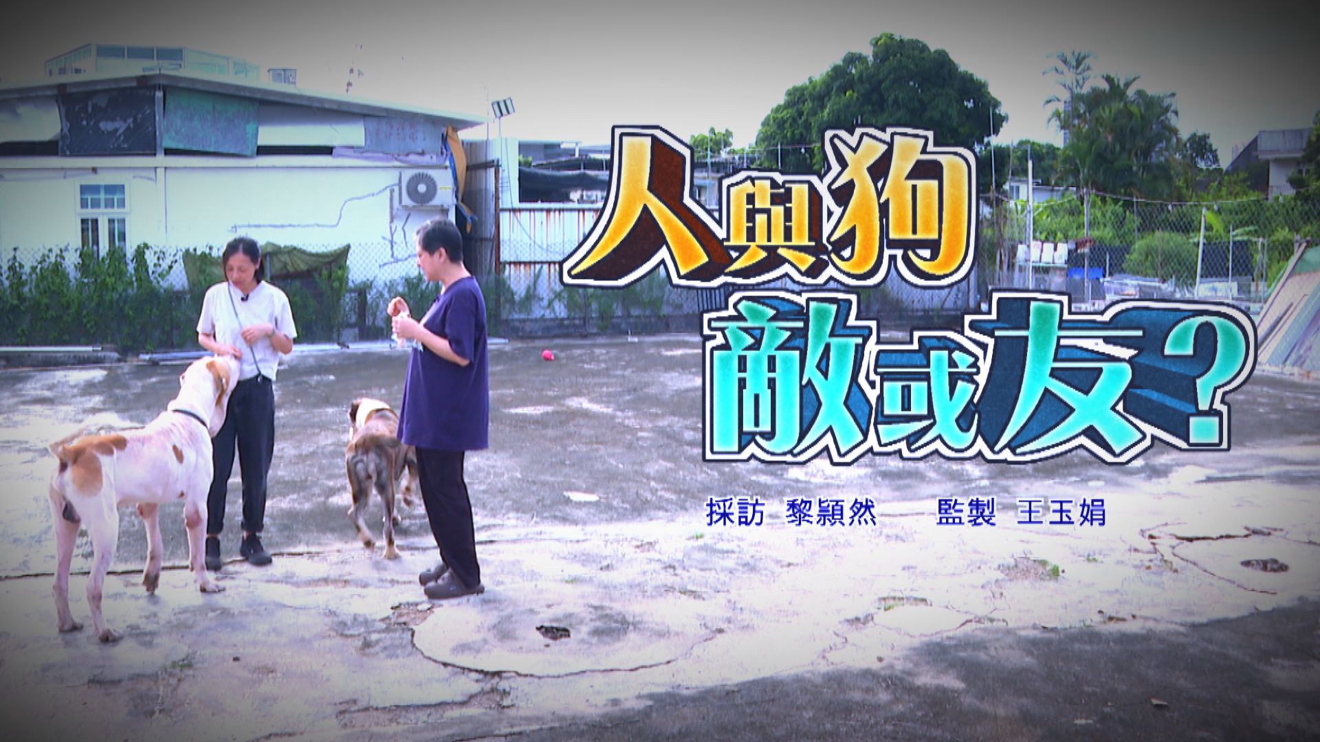經緯線｜人與狗，敵或友？(一)