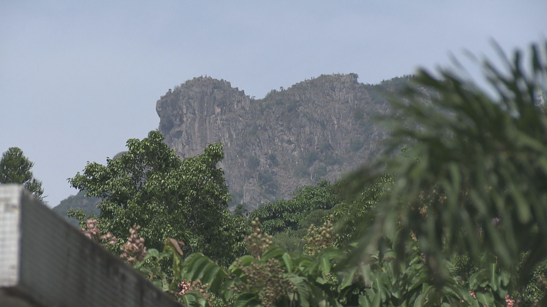 【經緯線本周提要】風波難平　移民再成出路