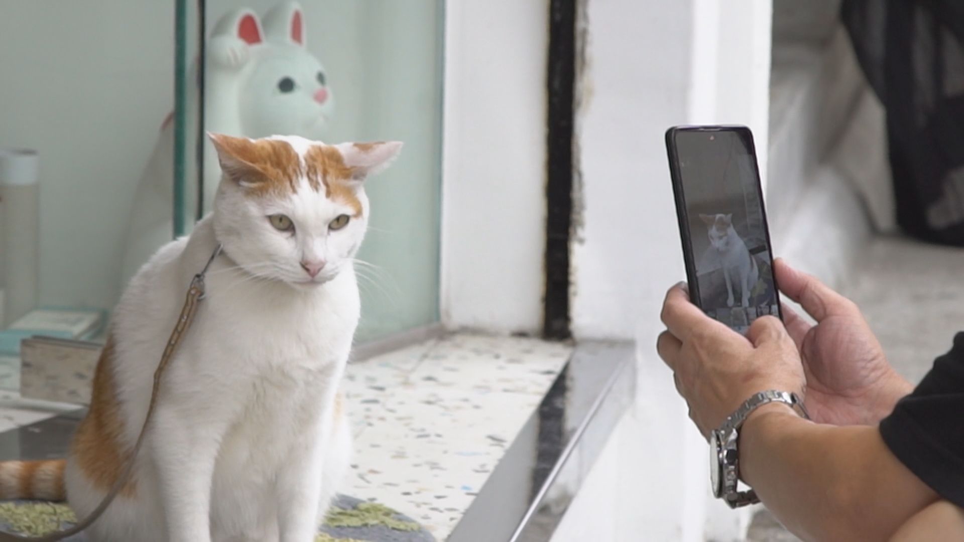 【經緯線】深水埗開間舖（一）