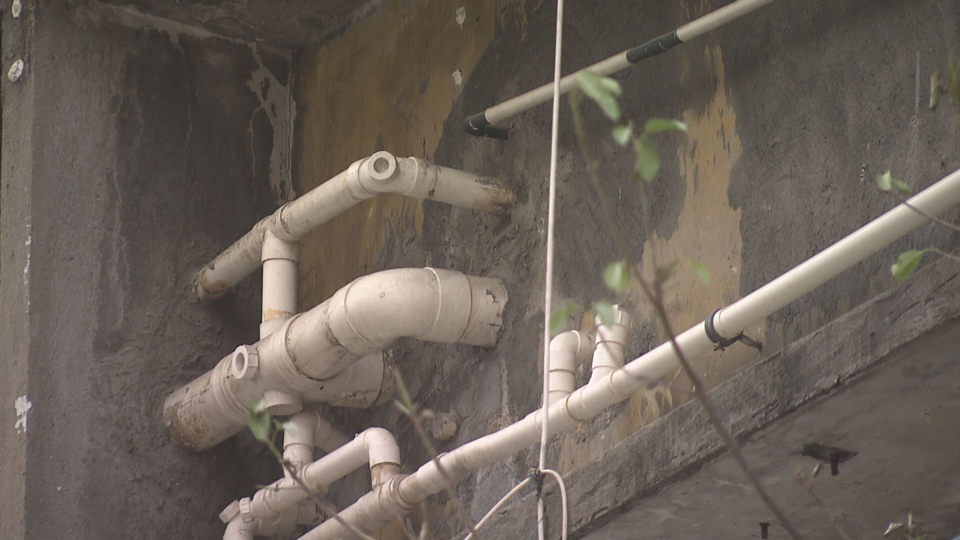 【經緯線】禍從喉出（二）