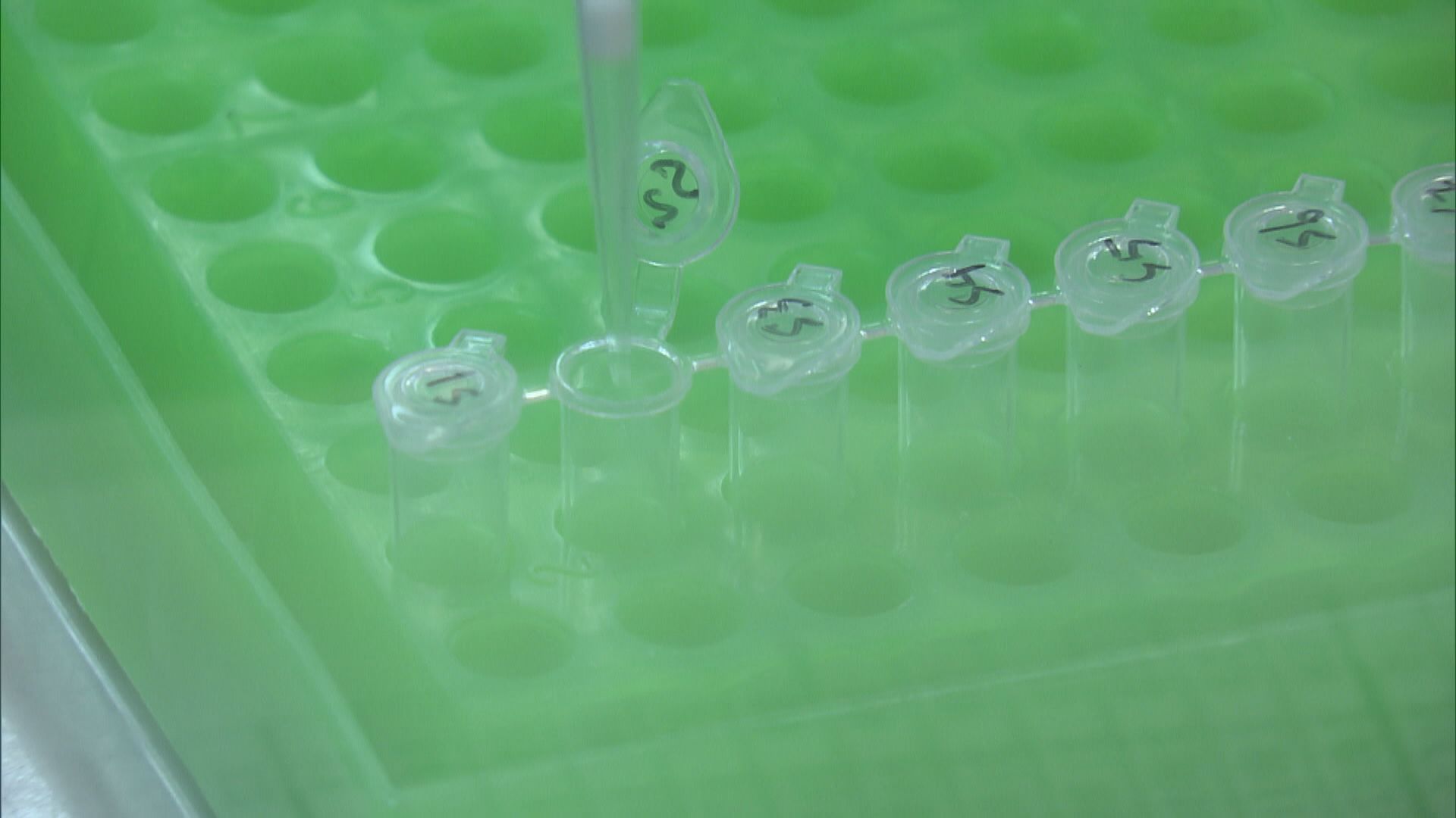 【經緯線本周提要】疫戰的對手