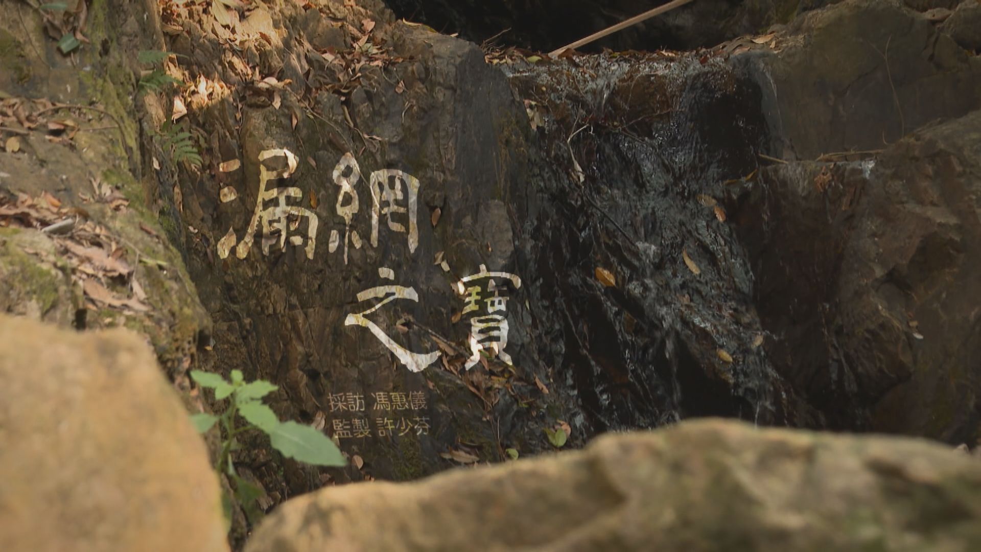 【經緯線】漏網之寶（一）