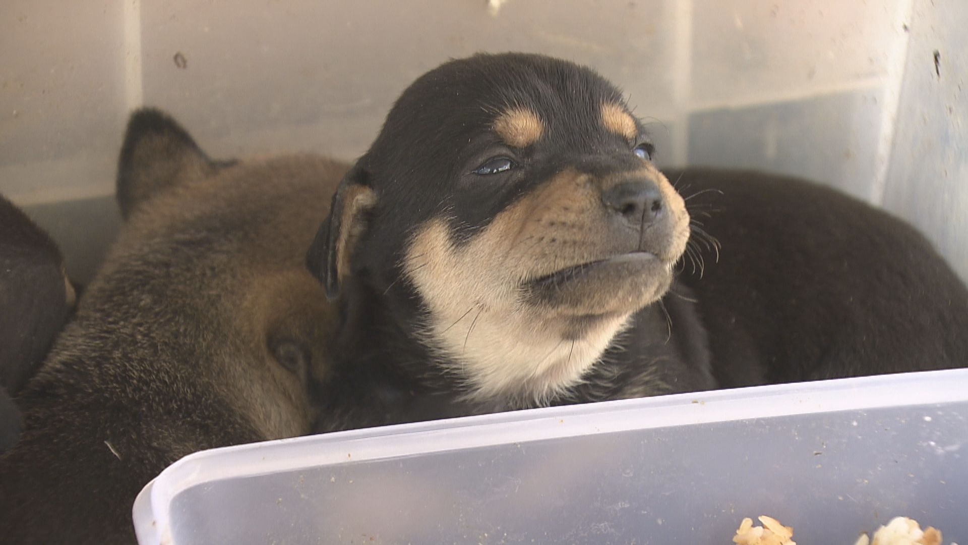 【經緯線】守浪者（二）