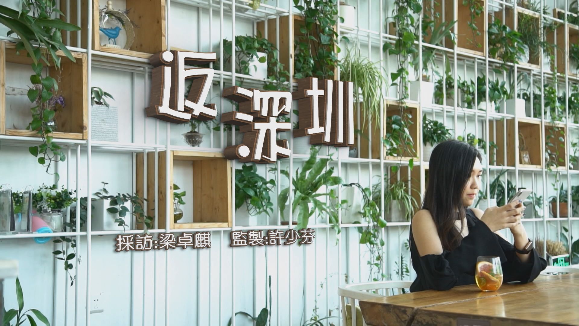 【經緯線】返深圳（一）