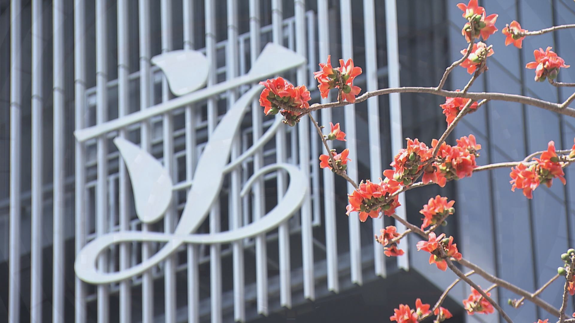 【經緯線】愛國者治港（二）