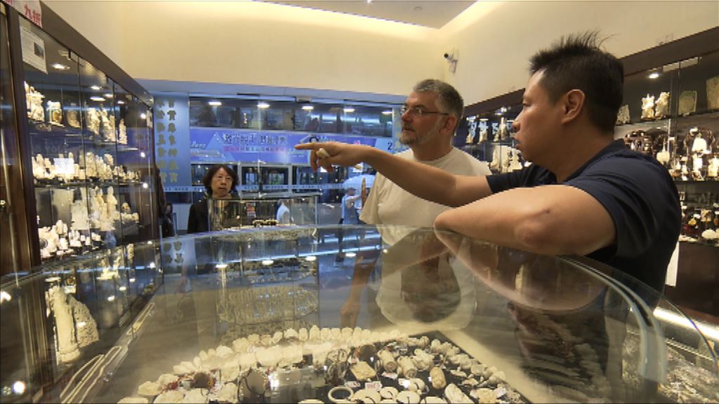 漁護署擬2021年禁貿象牙　業界：逼使走私