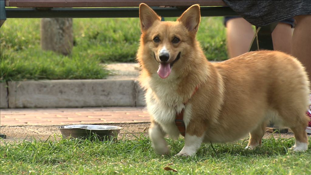 【經緯線本周提要】誰主牠命運