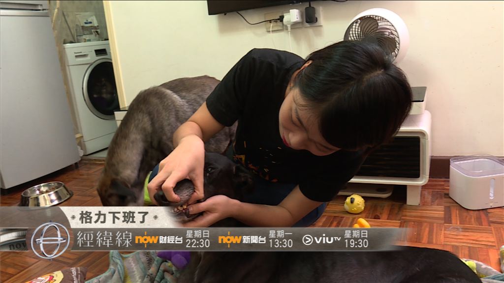 【經緯線本周提要】格力下班了