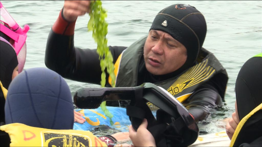 【經緯線本周提要】STEM UP