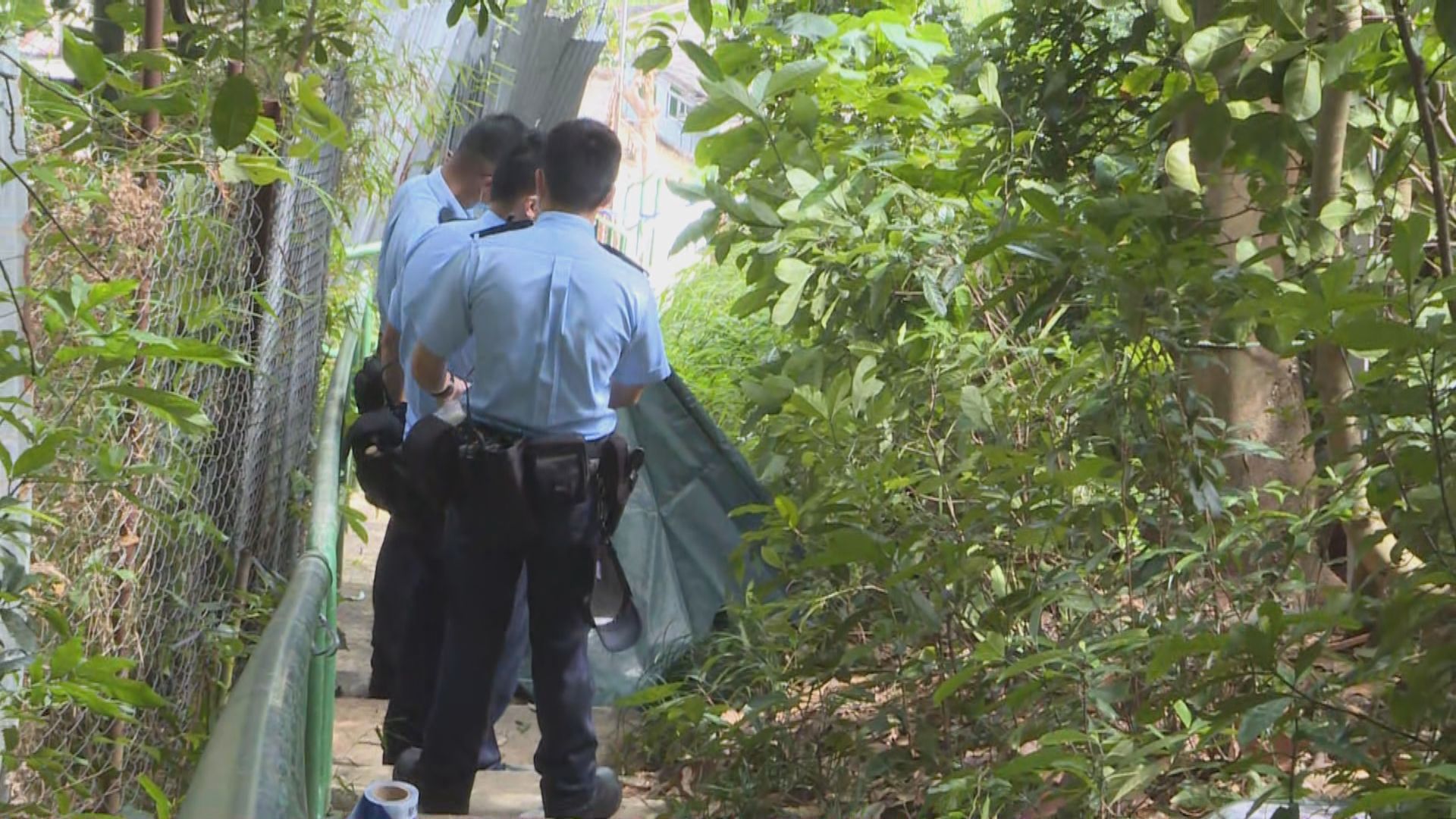 荃灣老翁疑爬樹修葺墮地受傷失救亡