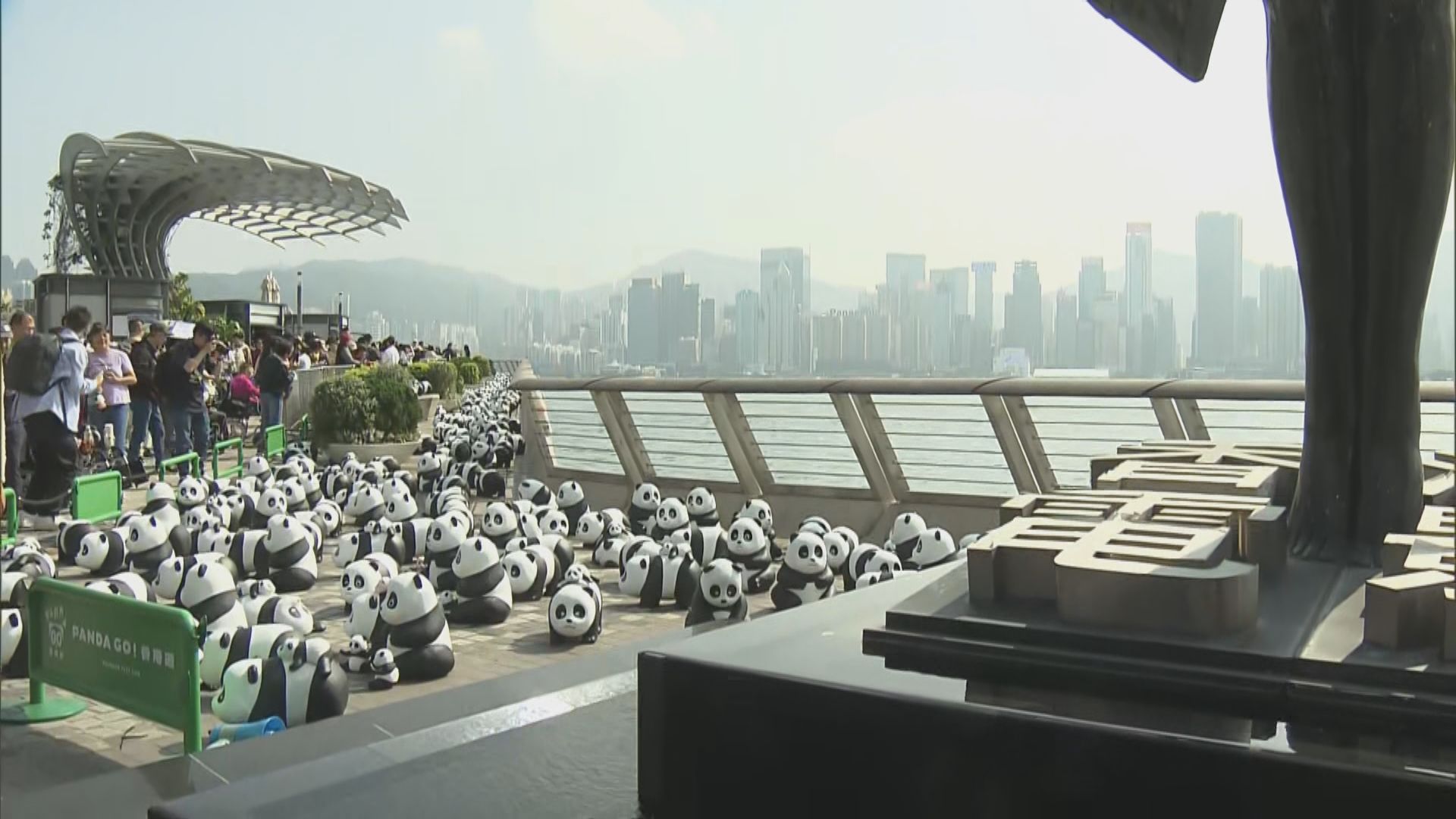 PANDA GO香港遊本月於多個地標展出　首站尖沙咀星光大道