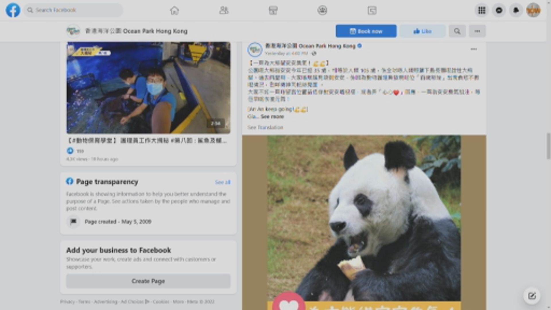 海洋公園指大熊貓安安食慾不振　李家超呼籲為安安「集氣」