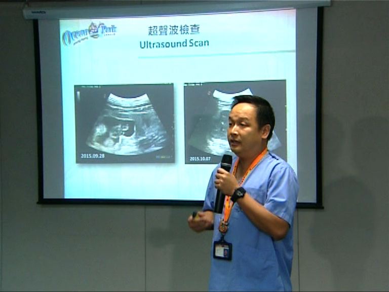 海洋公園證實大熊貓盈盈流產