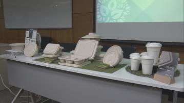 紙餐具被指易孳生昆蟲 供應商估計運輸或儲存不當所致