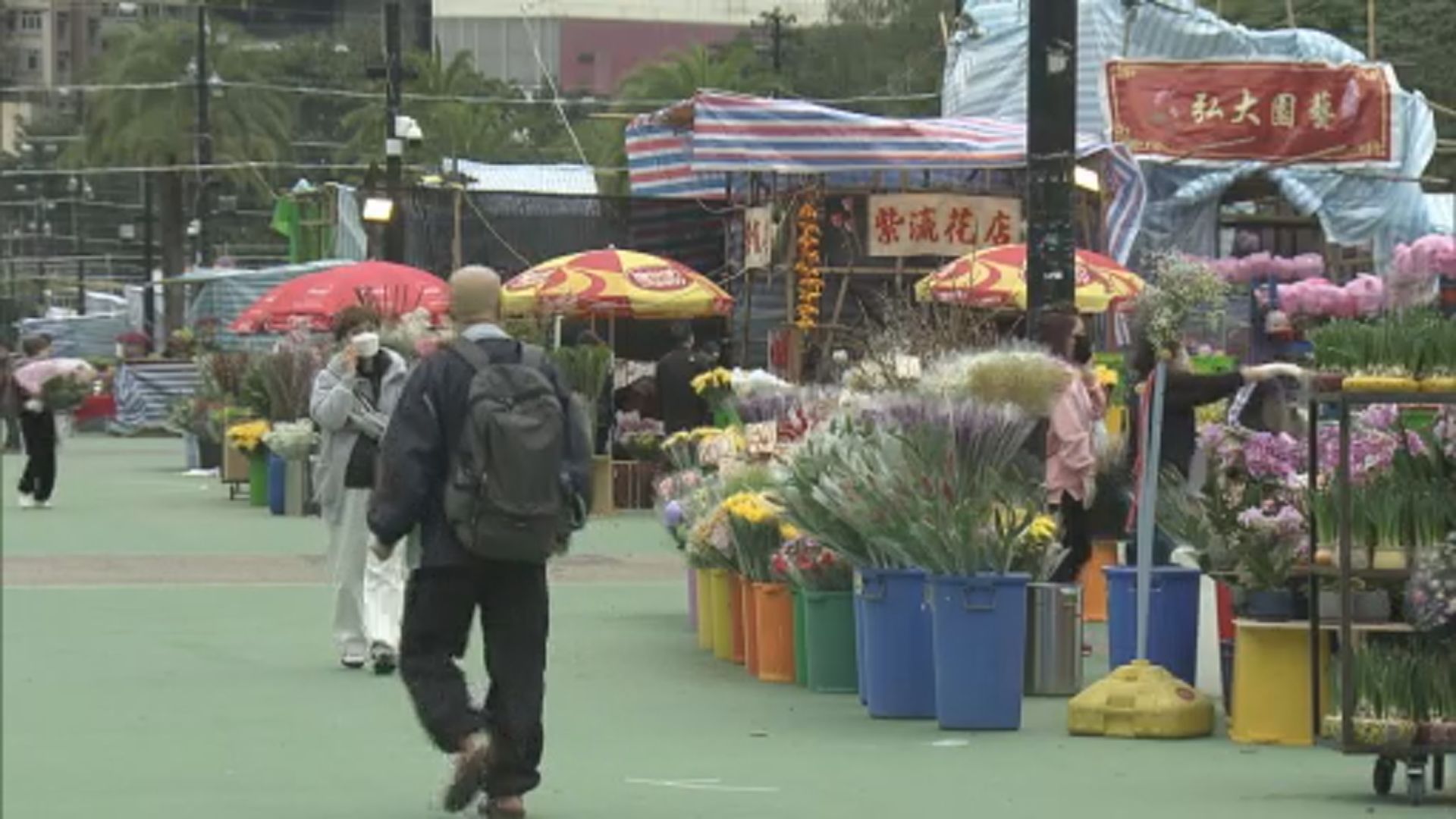 年宵花市開鑼　場內只設濕貨區售賣年花
