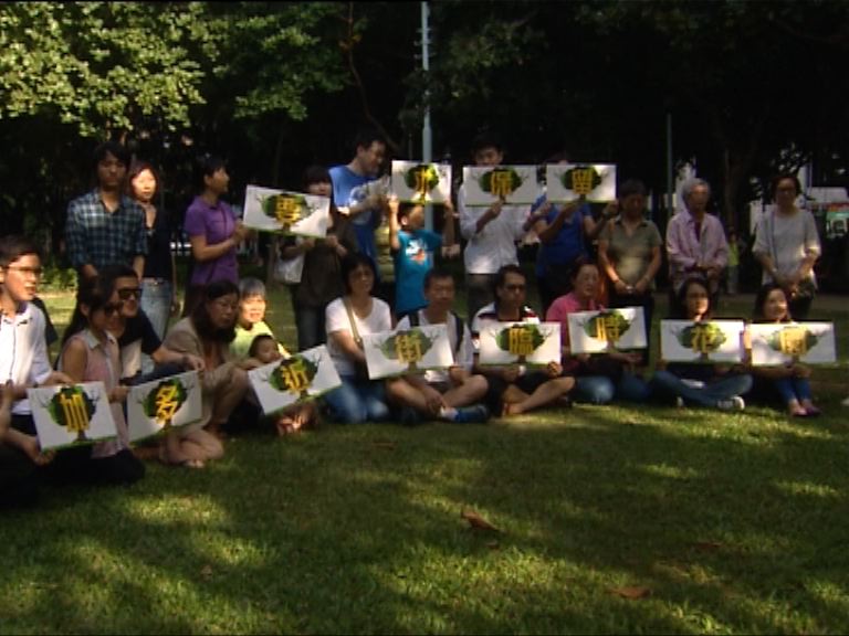 堅城居民反對清拆加多近街公園