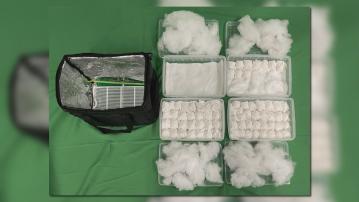 海關機場檢獲72隻鸚鵡蛋 估計市值約45萬