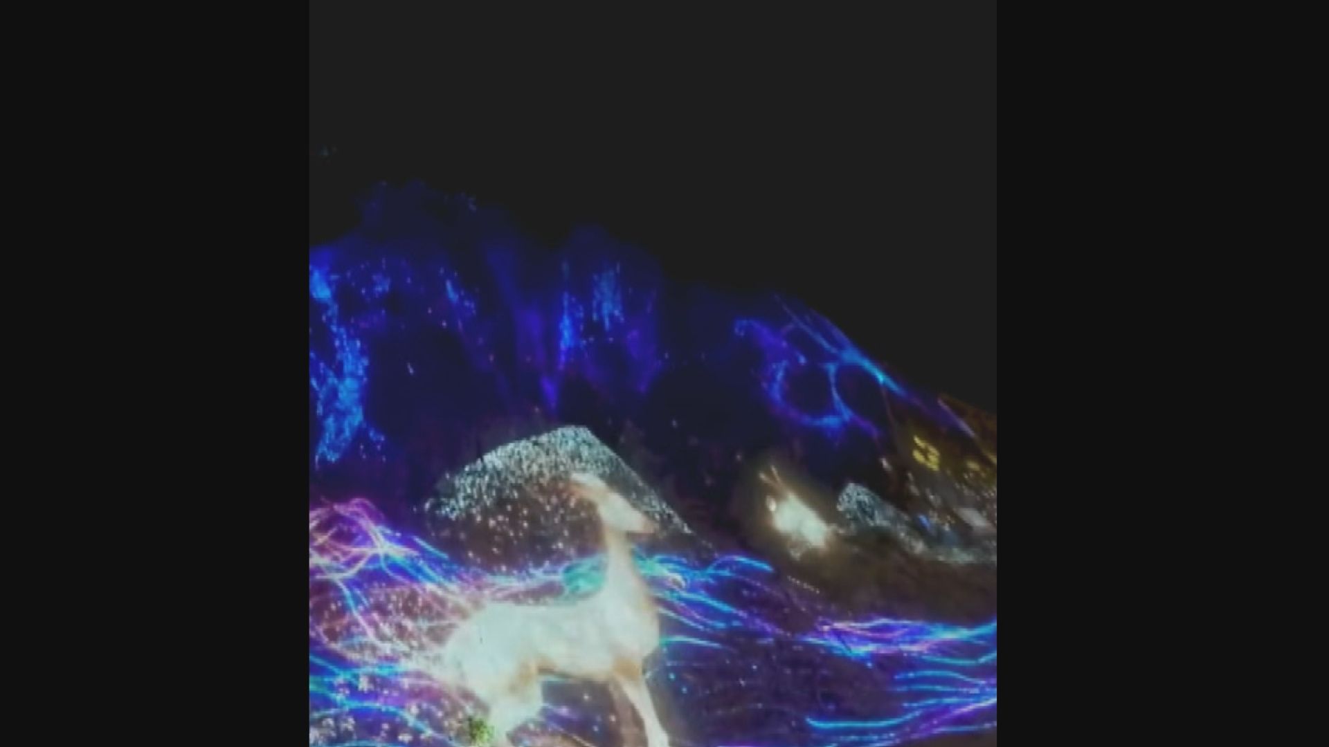 當局取消山頂光影匯項目　盡快修復受影響地方