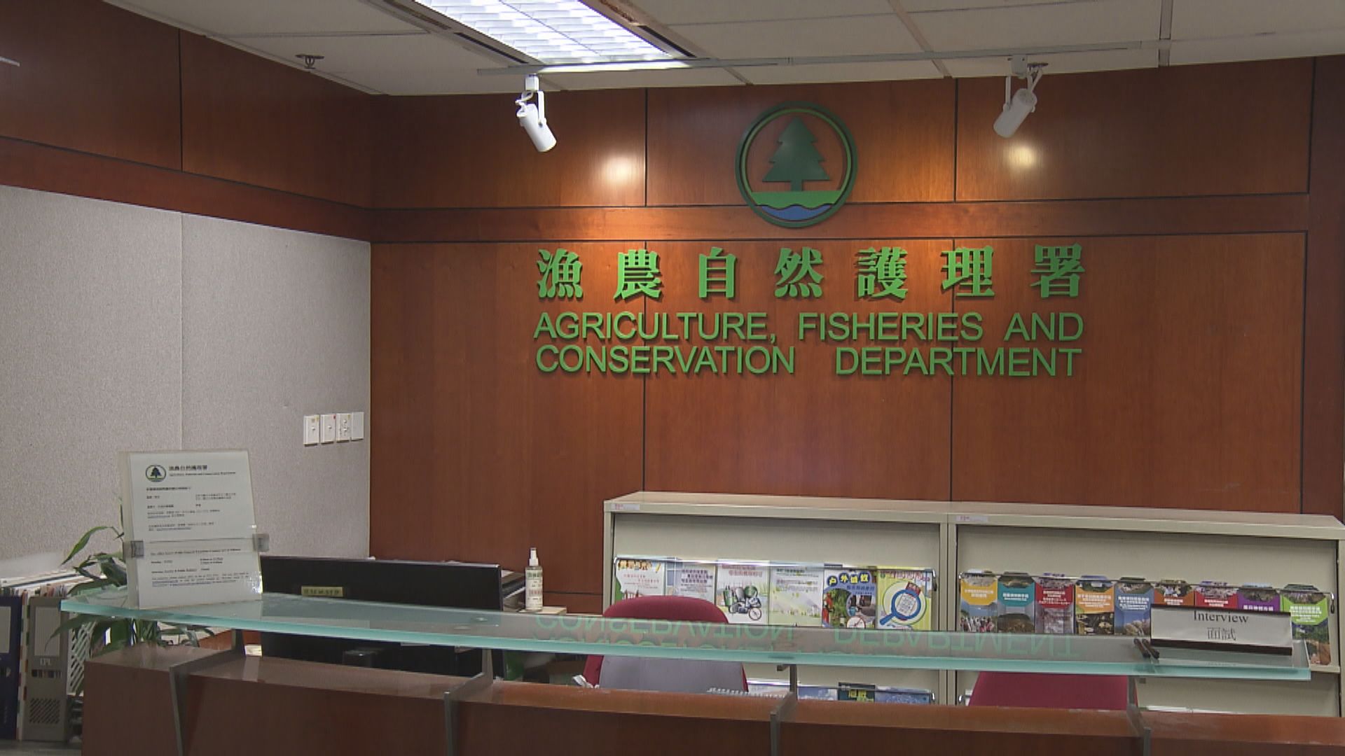 漁護署：已人道毀滅逾千隻Little Boss及其倉庫內動物