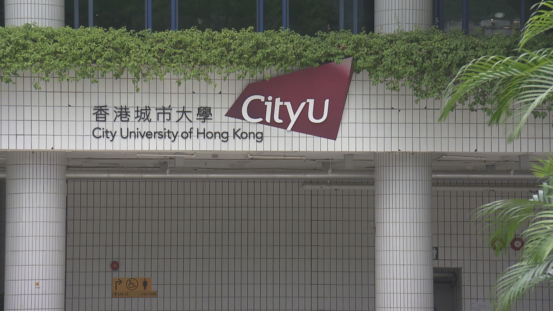 城大：動物向人類傳播新冠病毒風險微乎其微