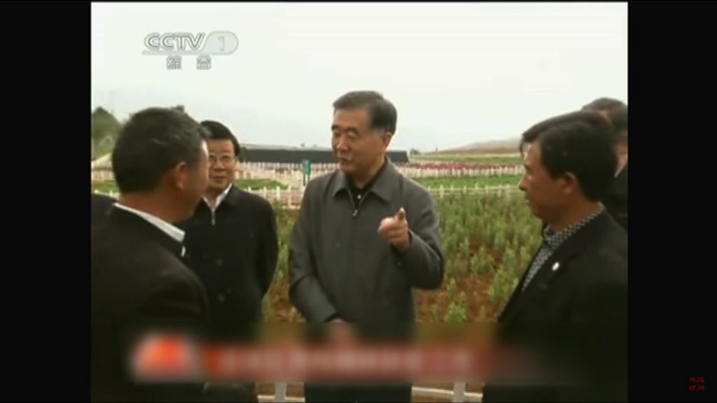 汪洋出身共青團先後主政廣東重慶