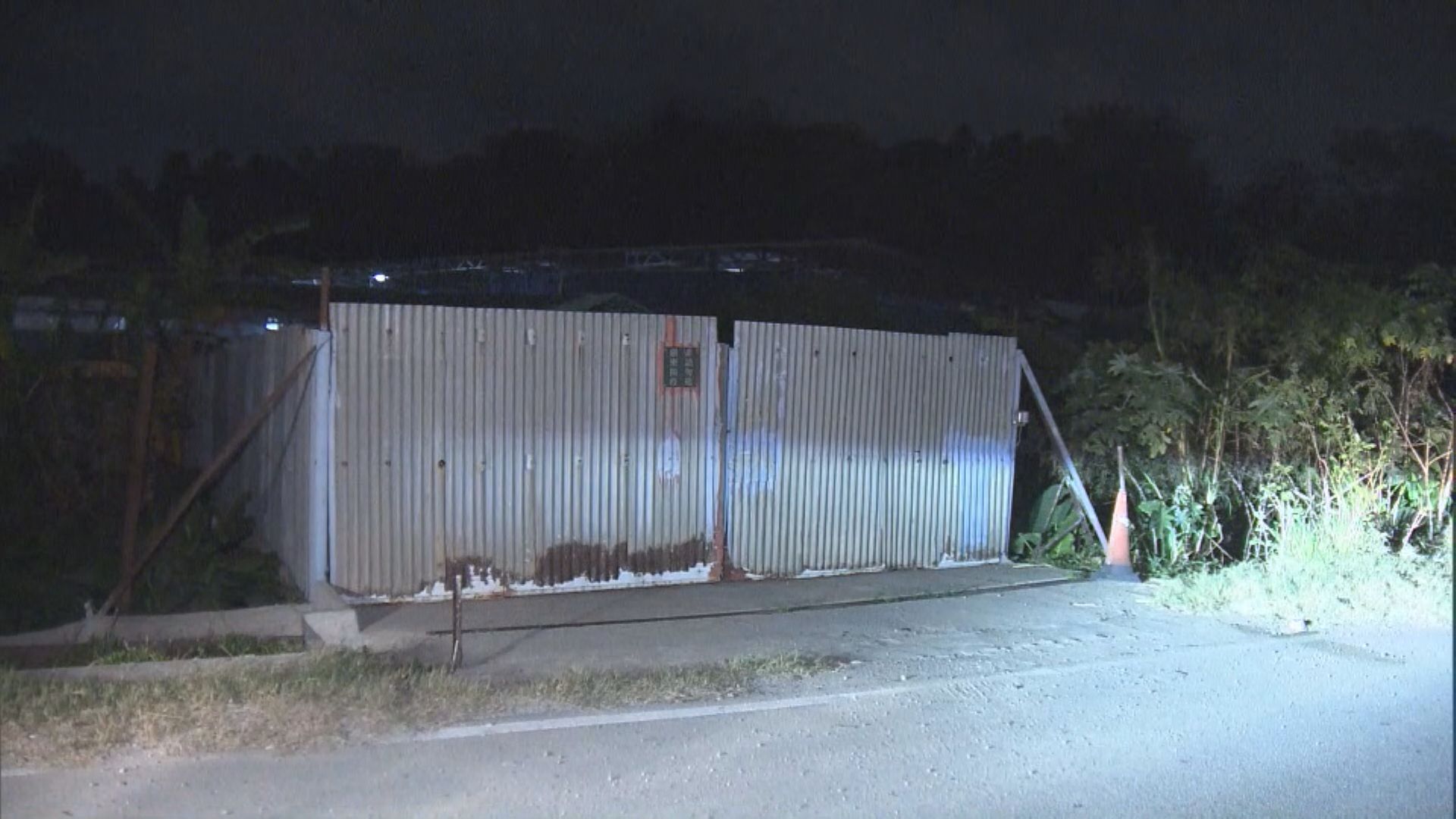 打鼓嶺豬場驗到非洲豬瘟　漁護署銷毀逾百隻豬