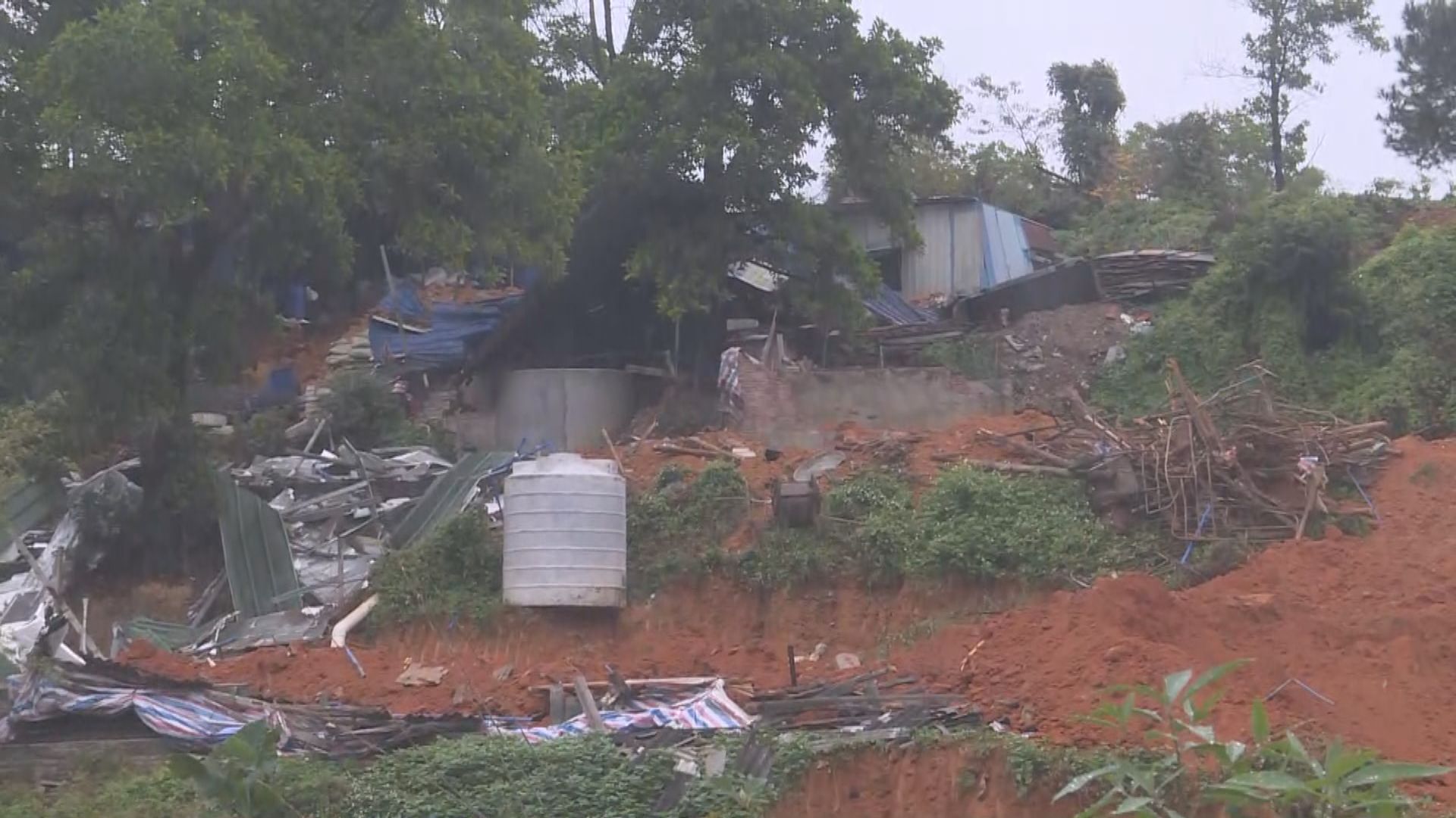 廣州爆發非洲豬瘟　涉事養豬戶即時被趕走