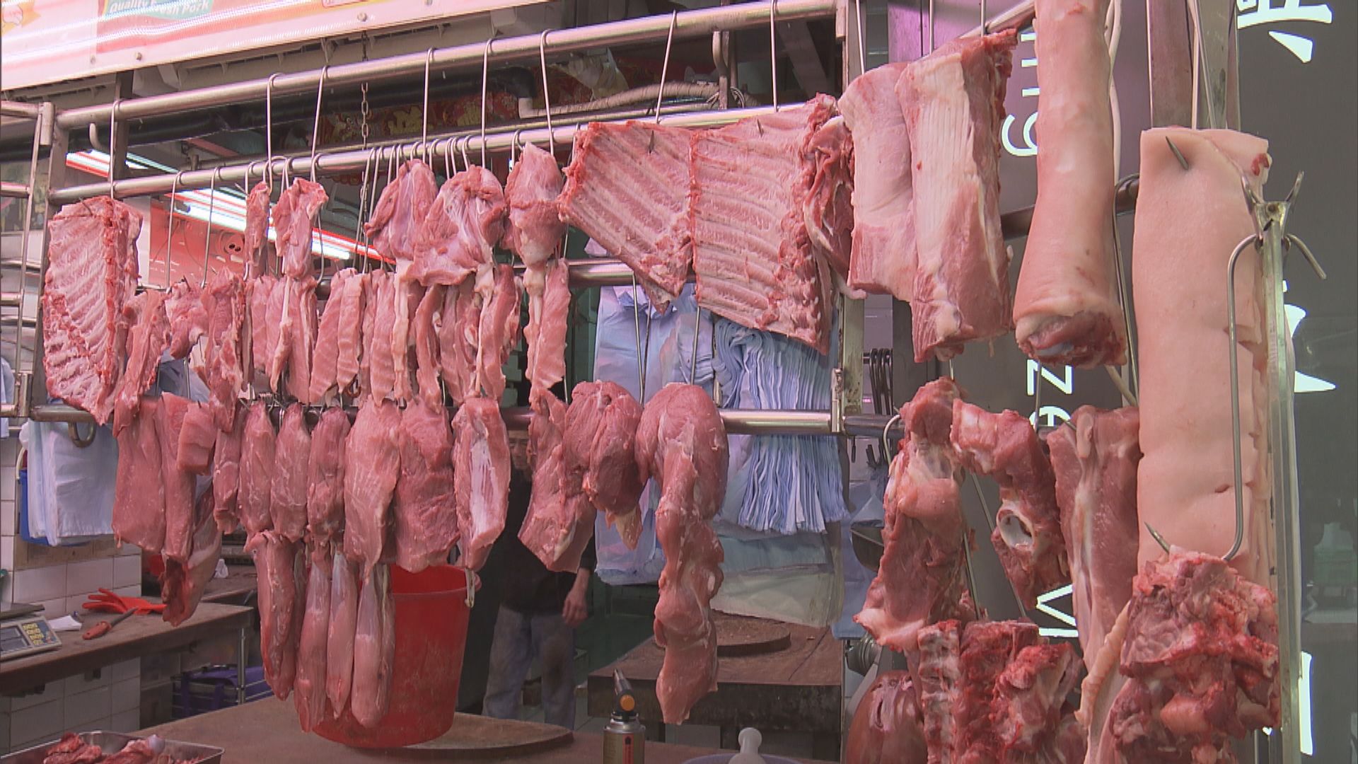 漁護署：暫無需暫停內地活豬供港