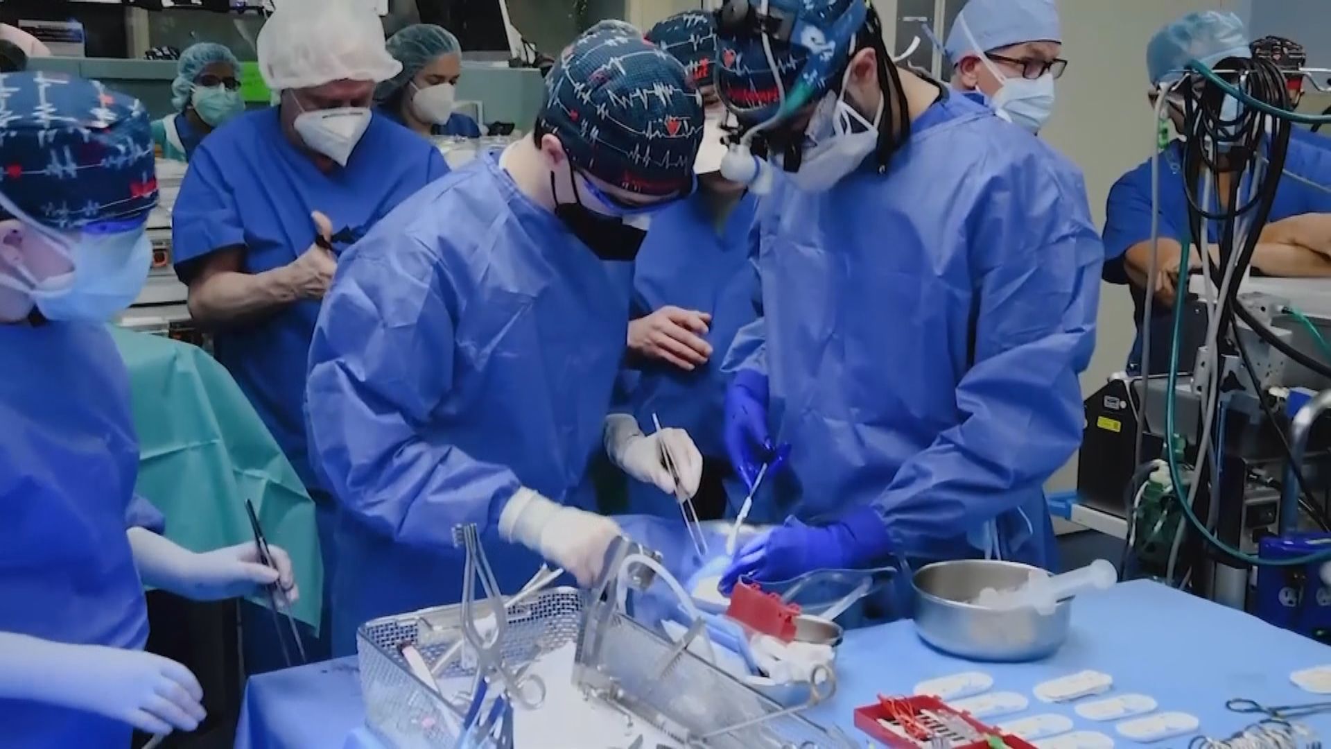 全球首例　美國垂危病人獲移植基因改造豬心