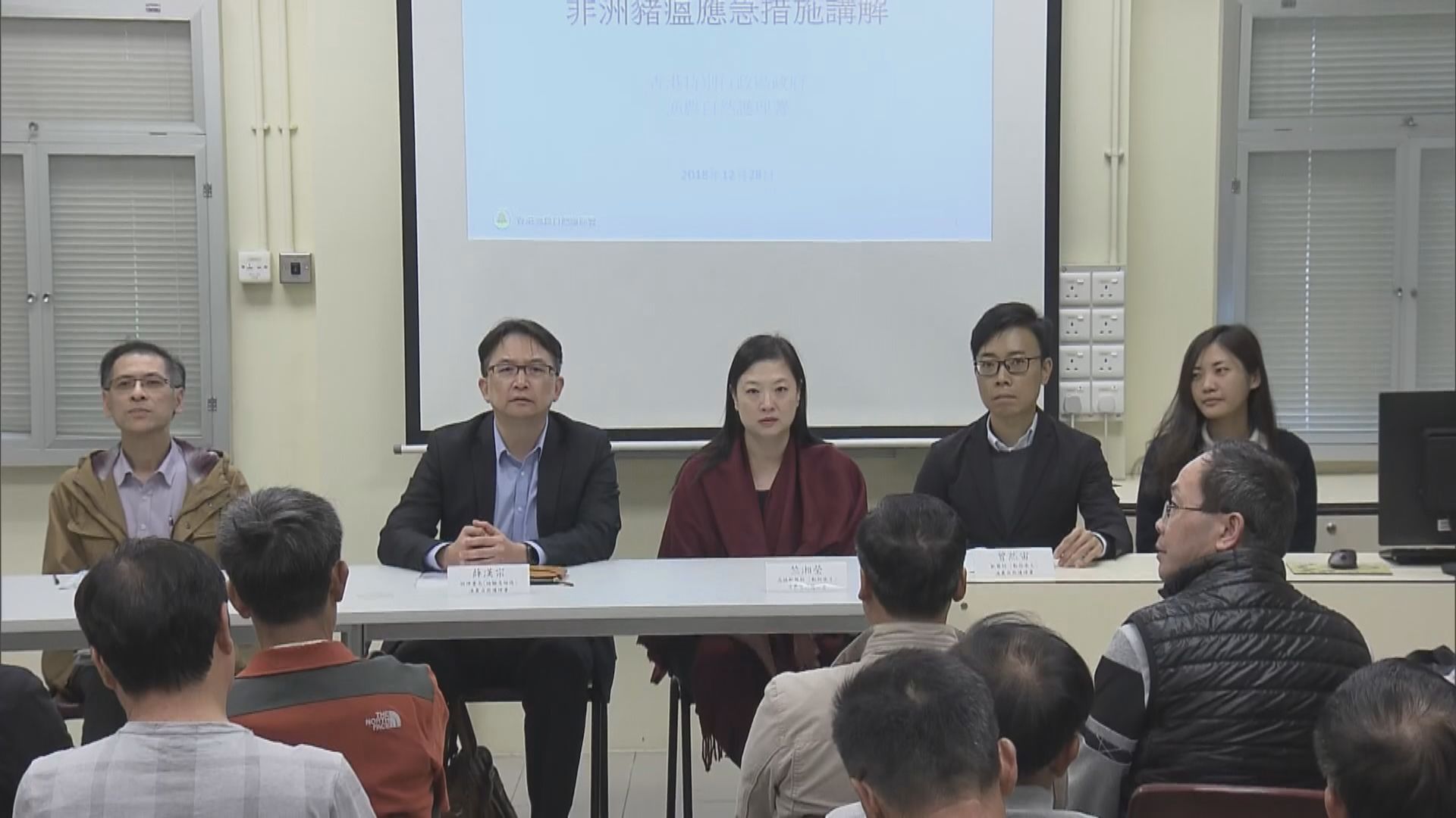 漁護署晤本地豬農解釋非洲豬瘟應急方案