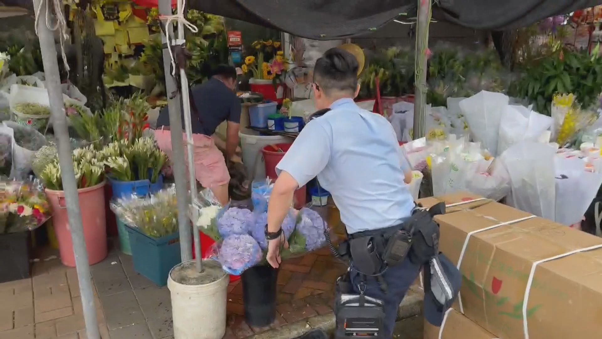 野豬闖旺角花墟 店主「手執豬耳」驅趕遭咬傷