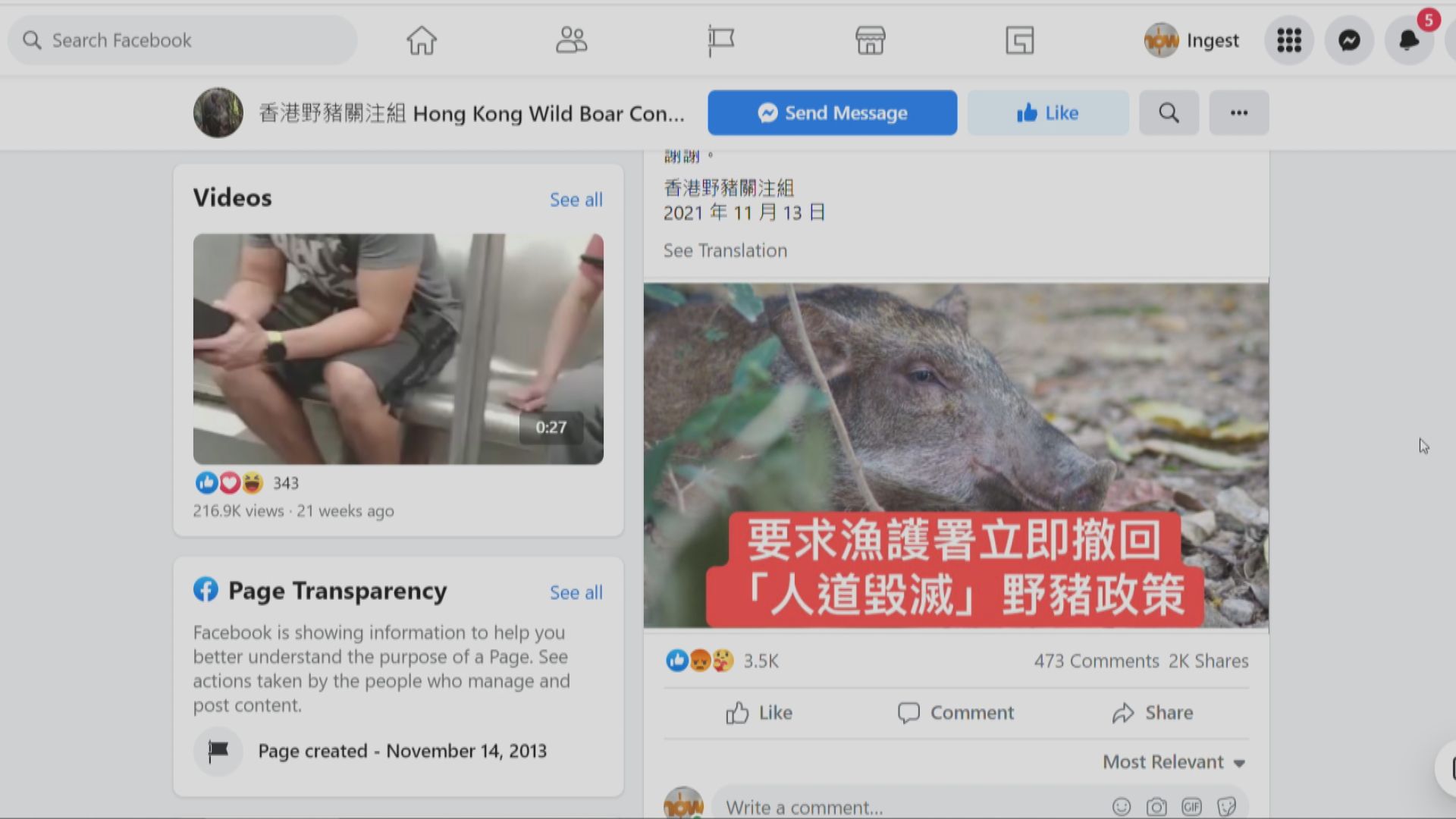 漁護署定期捕捉市區野豬人道毀滅  野豬關注組促署方撤回政策