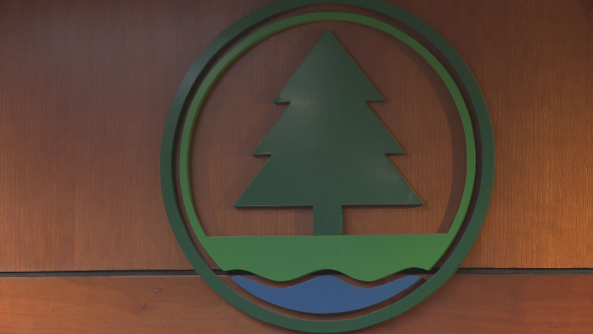 漁護署捕捉市區野豬人道毀滅　關注動物組織批反應過激