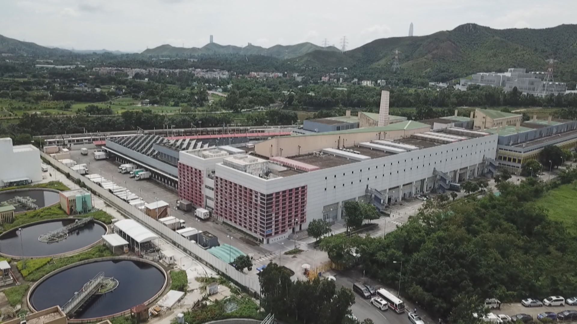 豬肉業界指供港豬不足促政府協調