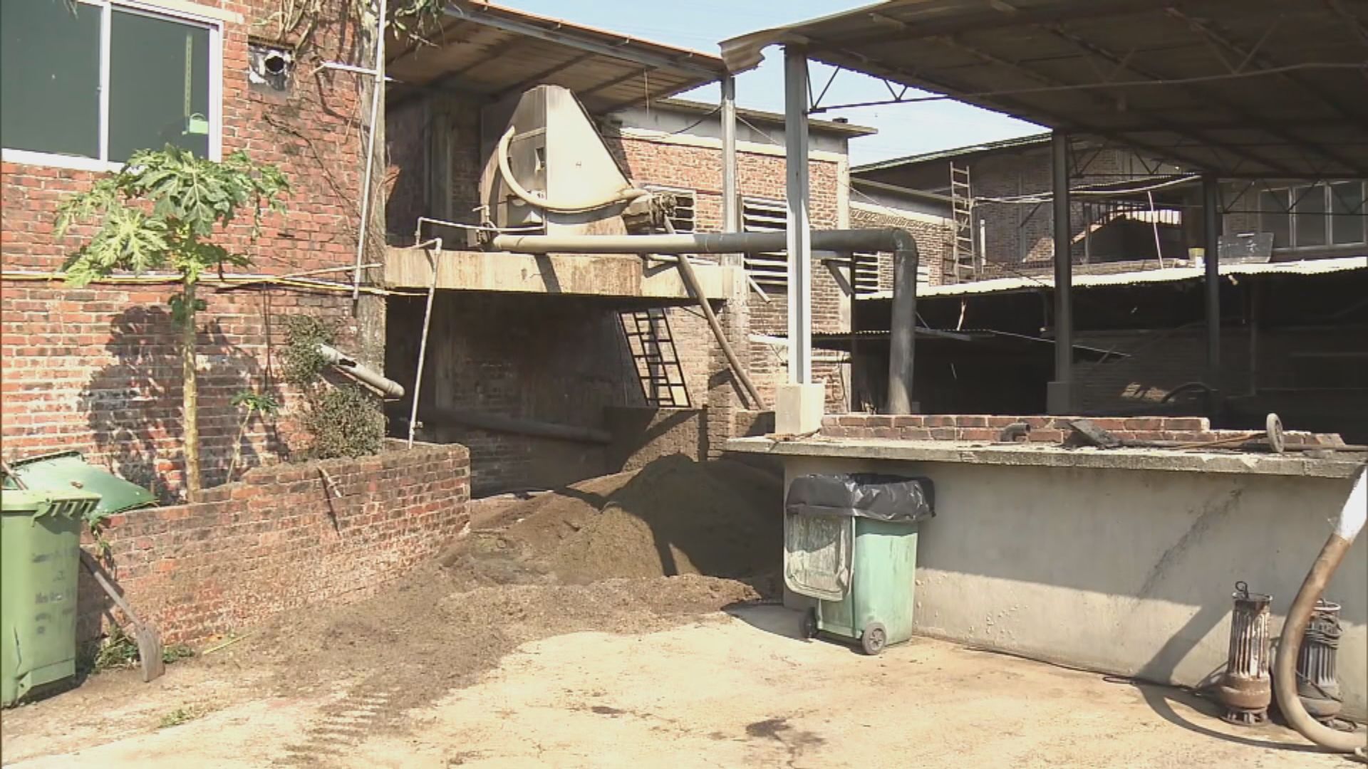 元朗白沙豬場發現非洲豬瘟病毒