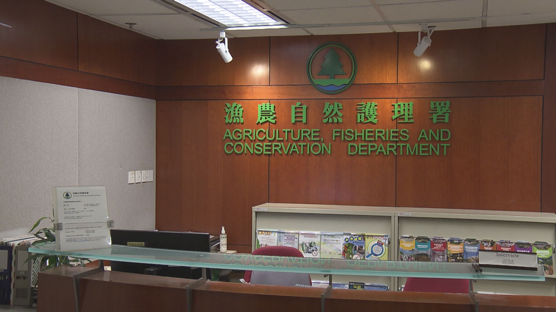 流浮山豬場爆非洲豬瘟 漁護署將銷毀場內逾5600多隻豬