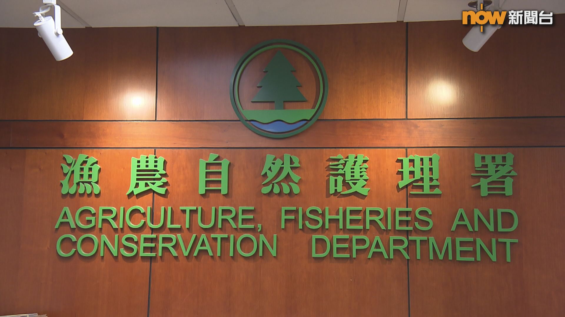 元朗黃泥墩豬場發現非洲豬瘟病毒