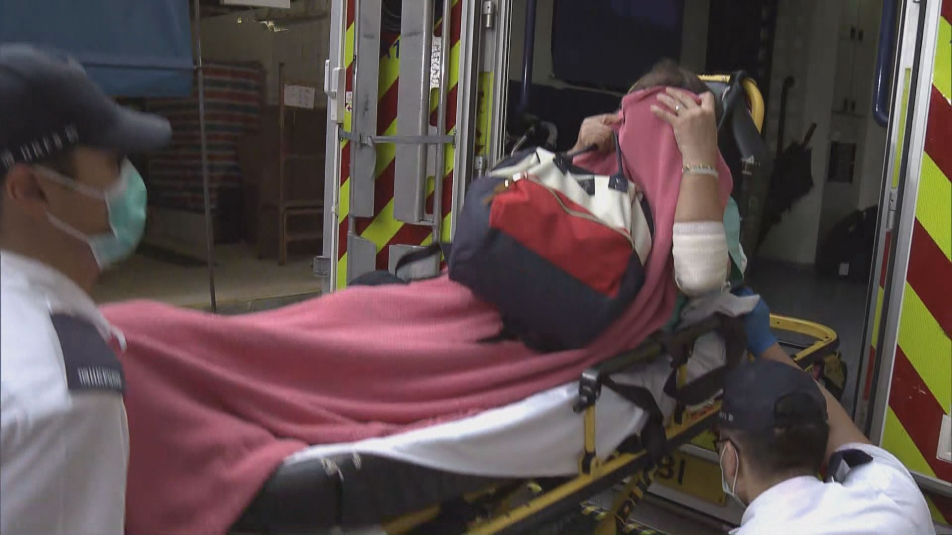 黃大仙發生野豬咬人事件三人傷