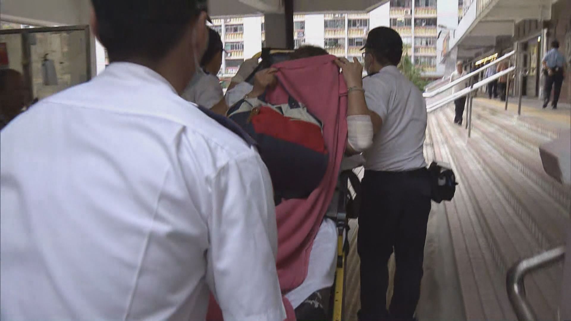 黃大仙兩人被野豬咬傷　另一人走避時跌傷