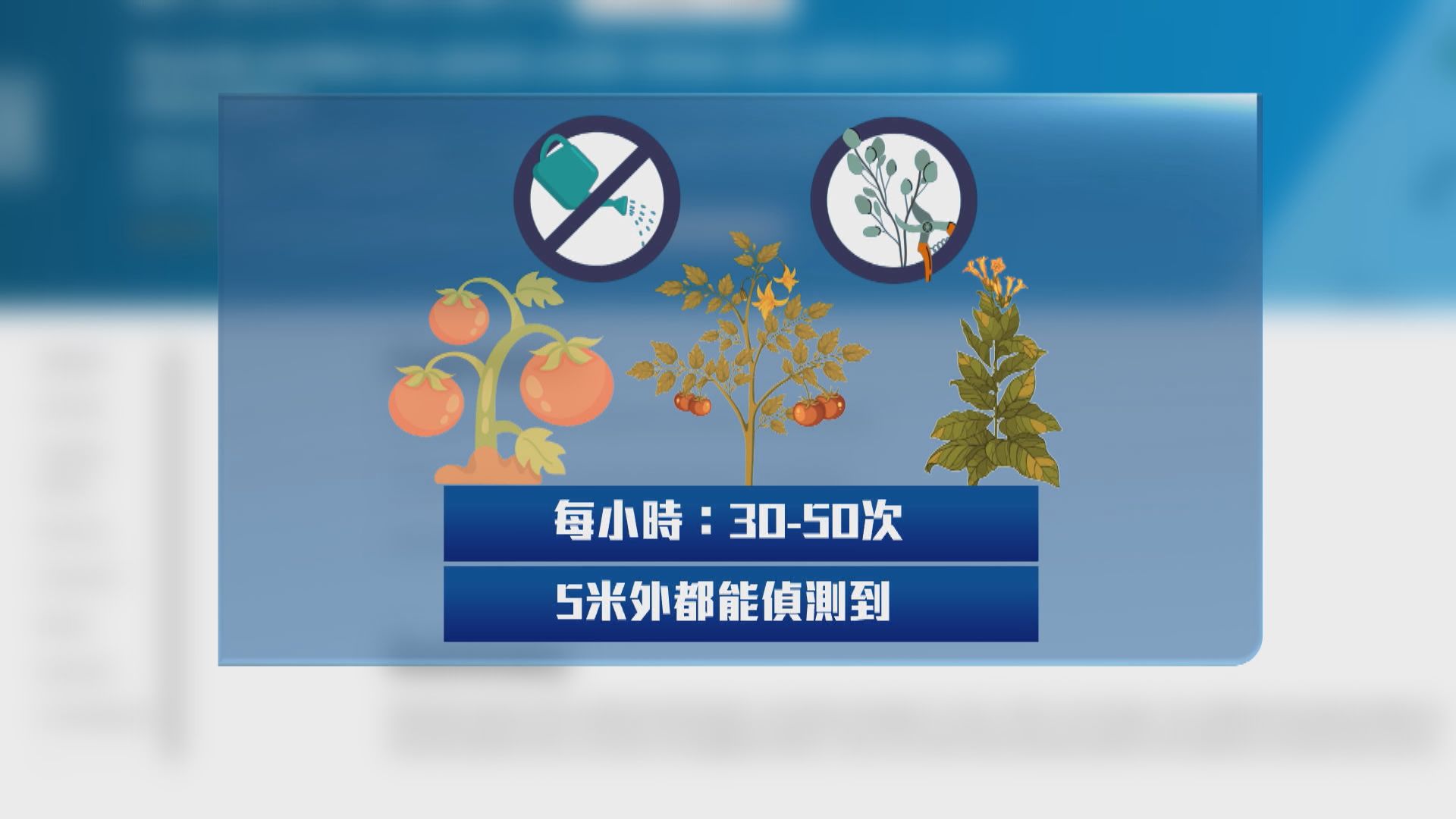 科學家發現植物健康欠佳或受傷害時會發出高頻「叫聲」
