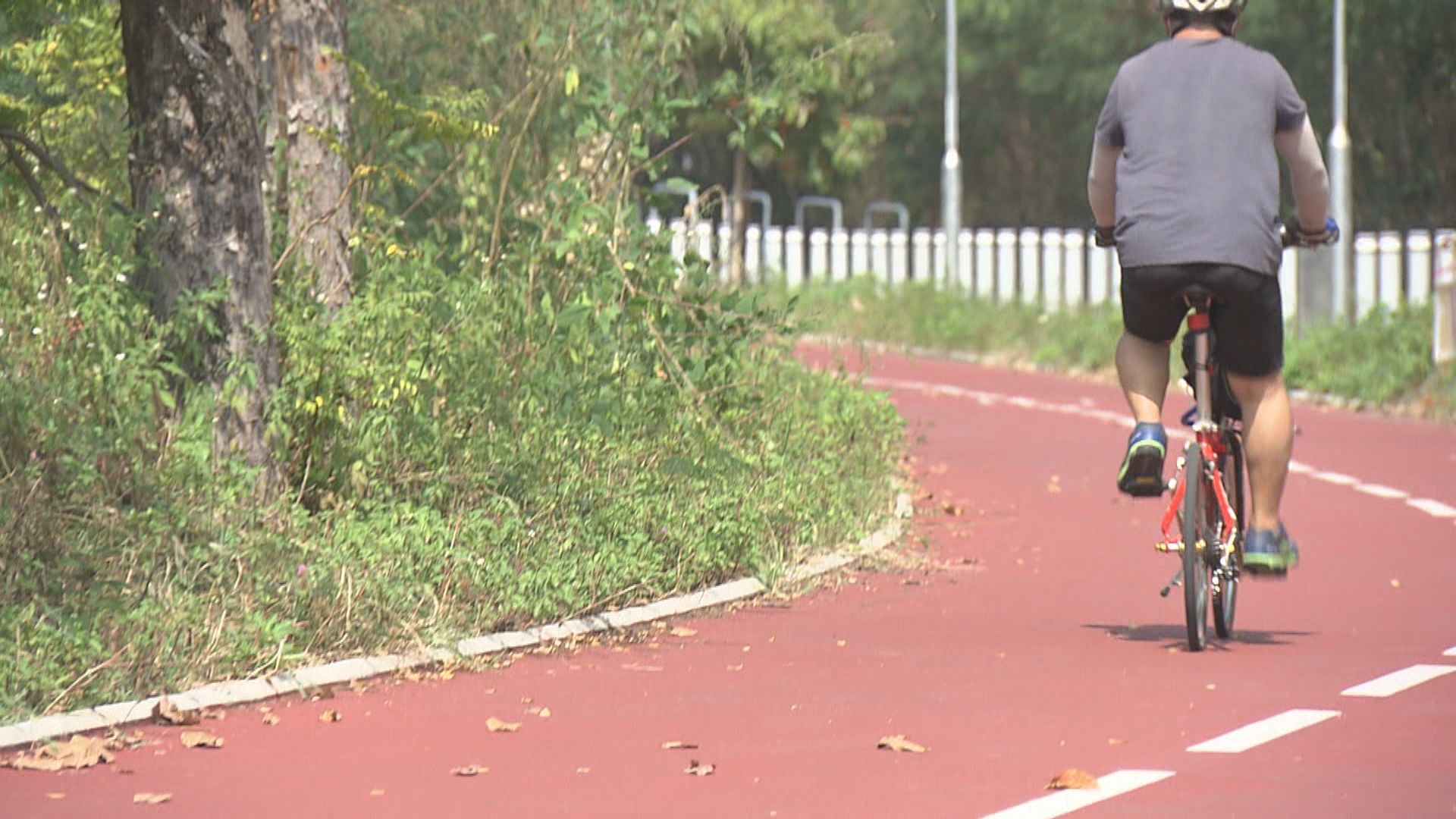 今年涉單車意外較去年大增　警方指會加強執法