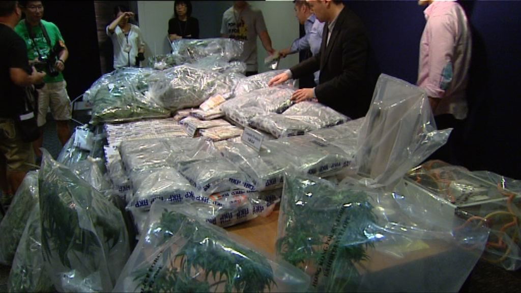 警方搗破大麻種植場　拘捕十人